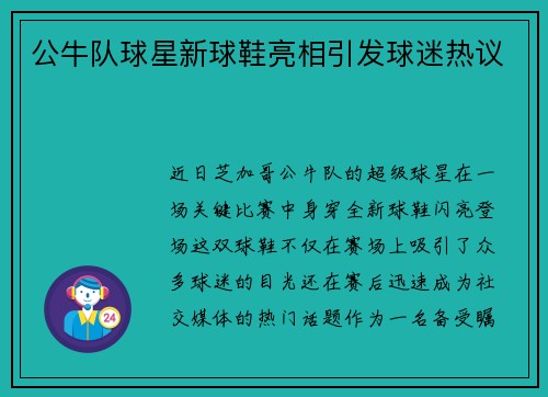 公牛队球星新球鞋亮相引发球迷热议