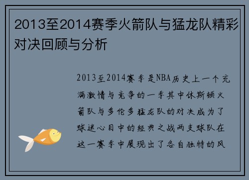 2013至2014赛季火箭队与猛龙队精彩对决回顾与分析